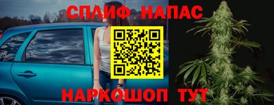 МДПВ Сланцы
