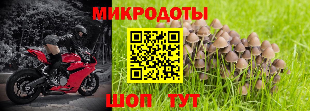 Псилоцибиновые грибы мухоморы Прохладный